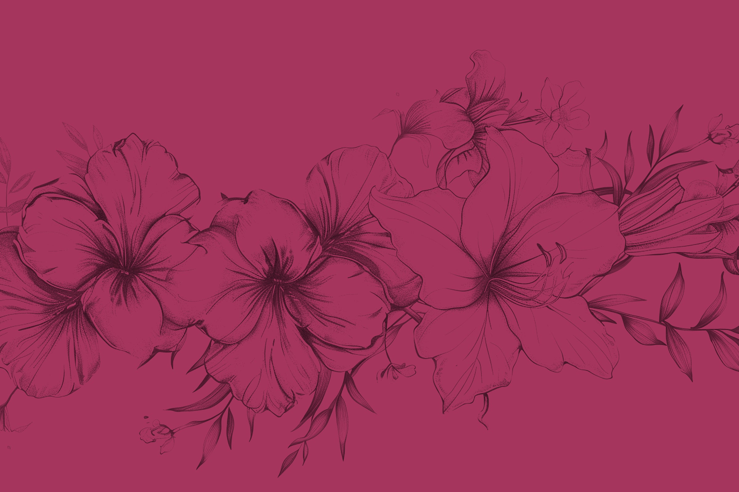 collection-banner-image